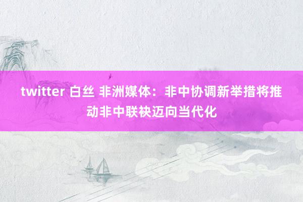 twitter 白丝 非洲媒体：非中协调新举措将推动非中联袂迈向当代化