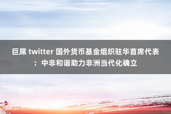 巨屌 twitter 国外货币基金组织驻华首席代表：中非和谐助力非洲当代化确立