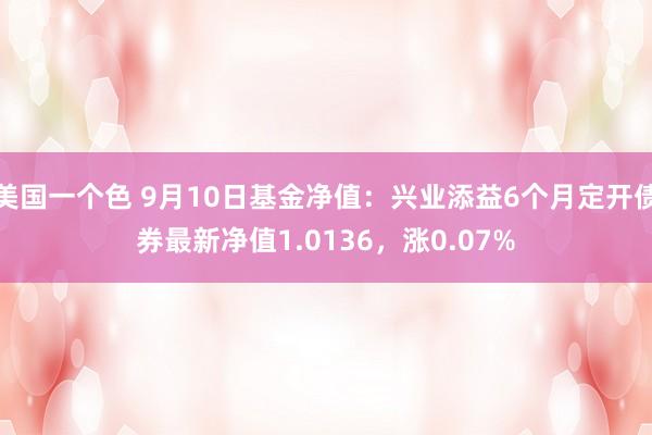 美国一个色 9月10日基金净值：兴业添益6个月定开债券最新净值1.0136，涨0.07%