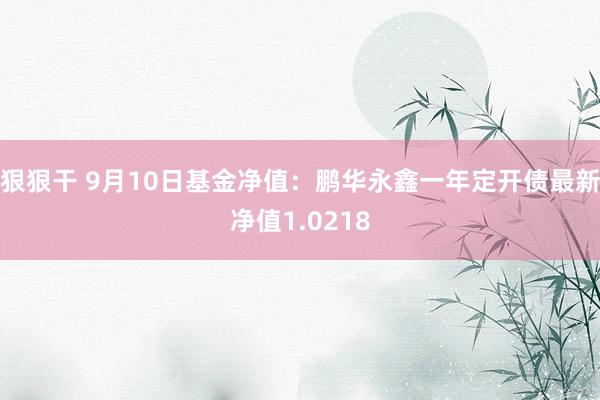 狠狠干 9月10日基金净值：鹏华永鑫一年定开债最新净值1.0218