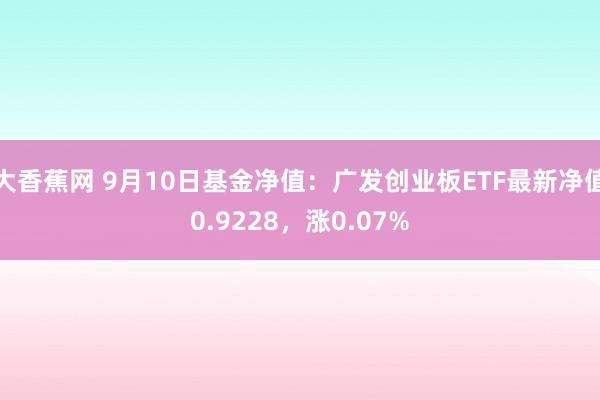 大香蕉网 9月10日基金净值：广发创业板ETF最新净值0.9228，涨0.07%