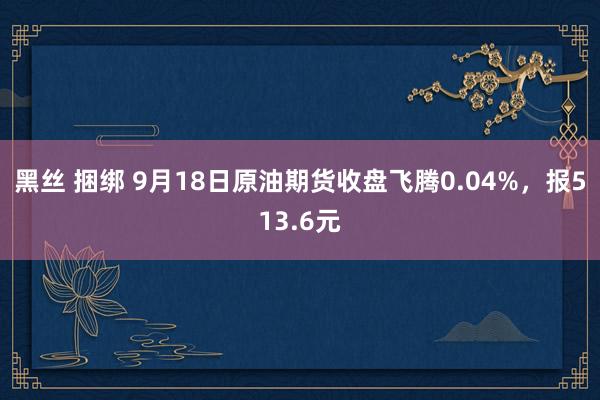 黑丝 捆绑 9月18日原油期货收盘飞腾0.04%，报513.6元