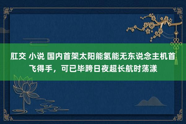 肛交 小说 国内首架太阳能氢能无东说念主机首飞得手，可已毕跨日夜超长航时荡漾