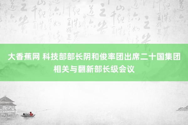 大香蕉网 科技部部长阴和俊率团出席二十国集团相关与翻新部长级会议