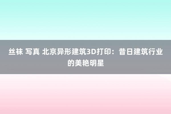 丝袜 写真 北京异形建筑3D打印：昔日建筑行业的美艳明星