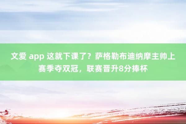 文爱 app 这就下课了？萨格勒布迪纳摩主帅上赛季夺双冠，联赛晋升8分捧杯