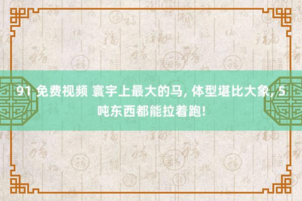 91 免费视频 寰宇上最大的马， 体型堪比大象， 5吨东西都能拉着跑!