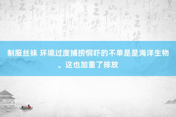 制服丝袜 环境过度捕捞恫吓的不单是是海洋生物。这也加重了排放