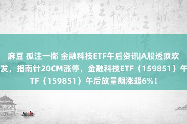 麻豆 孤注一掷 金融科技ETF午后资讯|A股透顶欢欣！大金融超过爆发，指南针20CM涨停，金融科技ETF（159851）午后放量飙涨超6%！