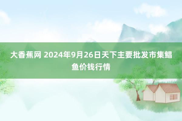 大香蕉网 2024年9月26日天下主要批发市集鲳鱼价钱行情