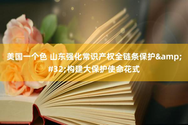 美国一个色 山东强化常识产权全链条保护&#32;构建大保护使命花式