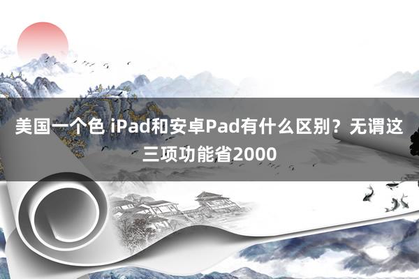 美国一个色 iPad和安卓Pad有什么区别？无谓这三项功能省2000