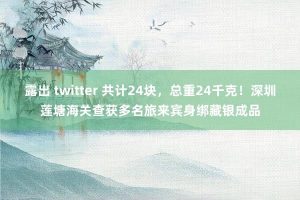 露出 twitter 共计24块，总重24千克！深圳莲塘海关查获多名旅来宾身绑藏银成品