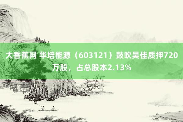 大香蕉网 华培能源（603121）鼓吹吴佳质押720万股，占总股本2.13%