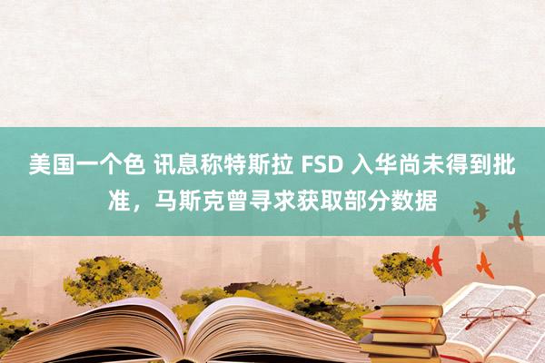 美国一个色 讯息称特斯拉 FSD 入华尚未得到批准，马斯克曾寻求获取部分数据