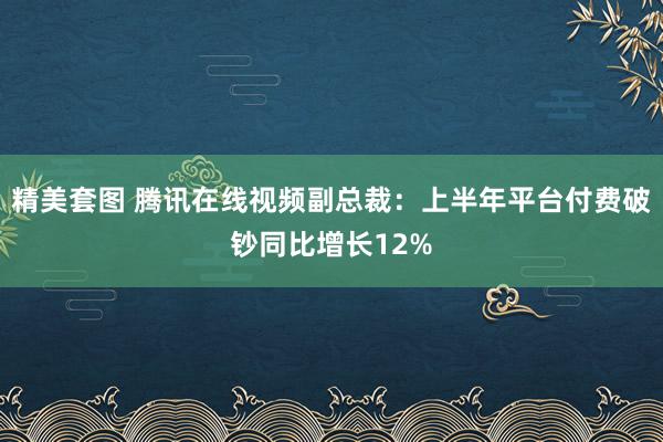 精美套图 腾讯在线视频副总裁：上半年平台付费破钞同比增长12%