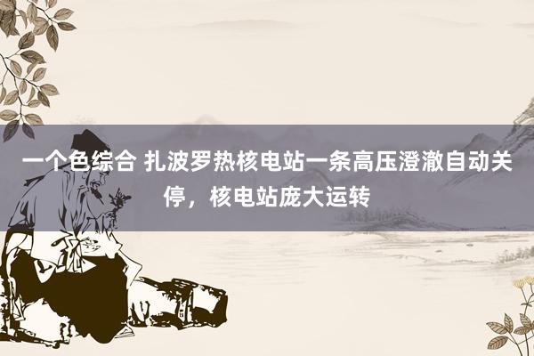 一个色综合 扎波罗热核电站一条高压澄澈自动关停，核电站庞大运转