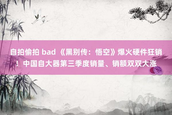 自拍偷拍 bad 《黑别传：悟空》爆火硬件狂销！中国自大器第三季度销量、销额双双大涨