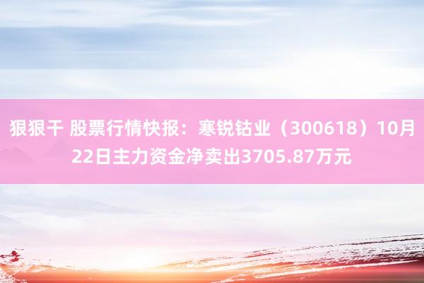 狠狠干 股票行情快报：寒锐钴业（300618）10月22日主力资金净卖出3705.87万元