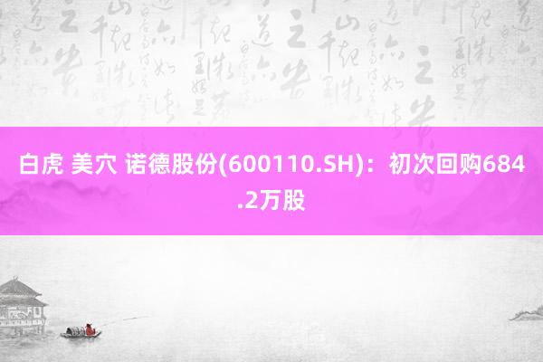 白虎 美穴 诺德股份(600110.SH)：初次回购684.2万股