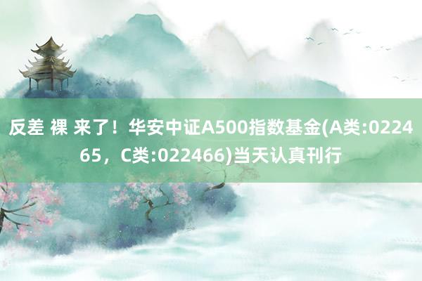 反差 裸 来了！华安中证A500指数基金(A类:022465，C类:022466)当天认真刊行