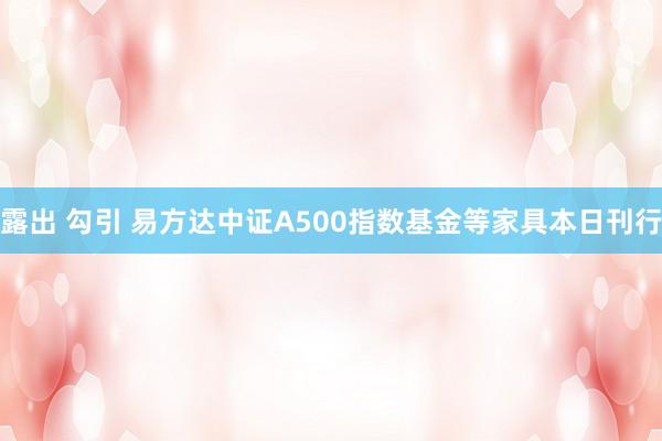 露出 勾引 易方达中证A500指数基金等家具本日刊行