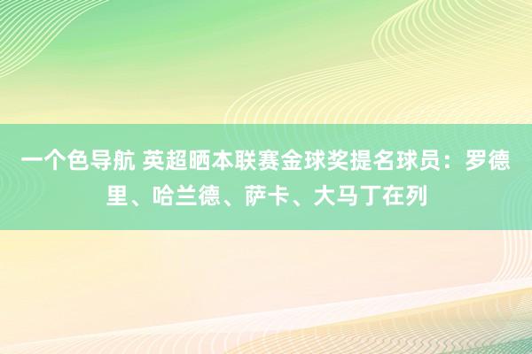 一个色导航 英超晒本联赛金球奖提名球员：罗德里、哈兰德、萨卡、大马丁在列