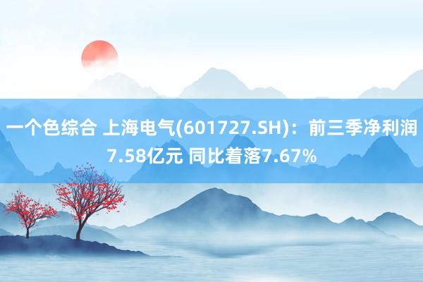 一个色综合 上海电气(601727.SH)：前三季净利润7.58亿元 同比着落7.67%