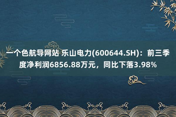 一个色航导网站 乐山电力(600644.SH)：前三季度净利润6856.88万元，同比下落3.98%