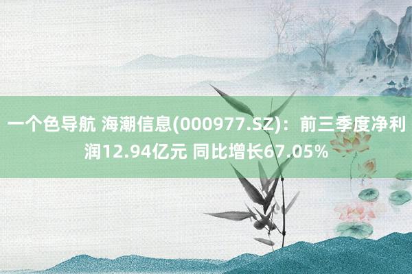 一个色导航 海潮信息(000977.SZ)：前三季度净利润12.94亿元 同比增长67.05%