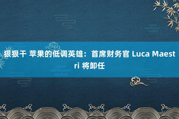 狠狠干 苹果的低调英雄：首席财务官 Luca Maestri 将卸任