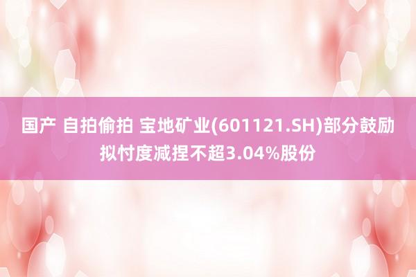 国产 自拍偷拍 宝地矿业(601121.SH)部分鼓励拟忖度减捏不超3.04%股份