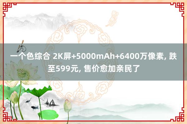 一个色综合 2K屏+5000mAh+6400万像素， 跌至599元， 售价愈加亲民了