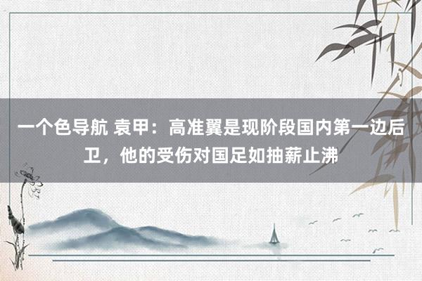 一个色导航 袁甲：高准翼是现阶段国内第一边后卫，他的受伤对国足如抽薪止沸