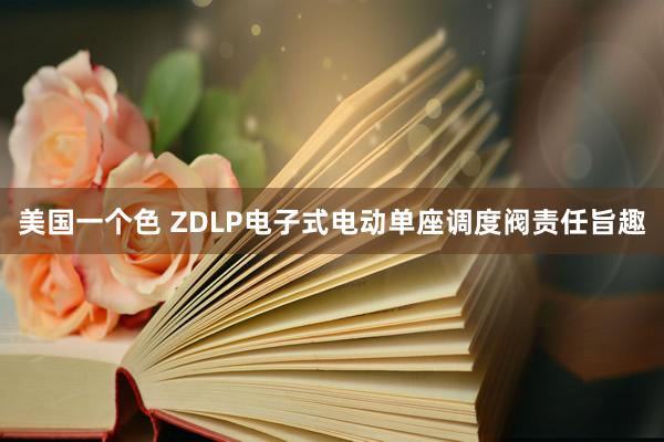 美国一个色 ZDLP电子式电动单座调度阀责任旨趣