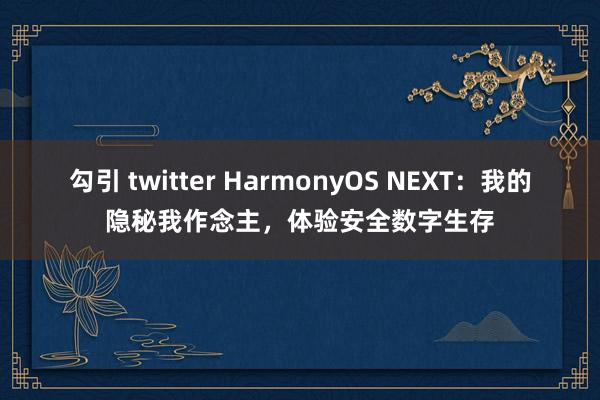 勾引 twitter HarmonyOS NEXT：我的隐秘我作念主，体验安全数字生存