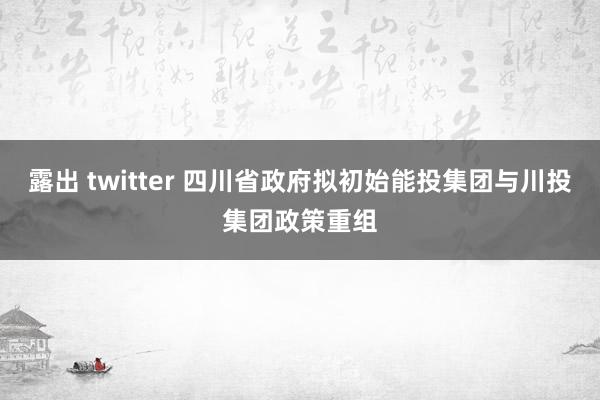 露出 twitter 四川省政府拟初始能投集团与川投集团政策重组