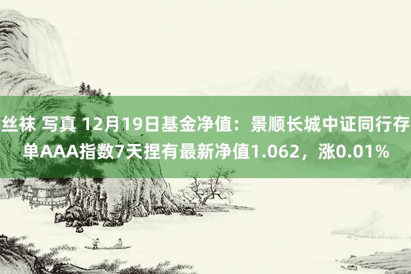 丝袜 写真 12月19日基金净值：景顺长城中证同行存单AAA指数7天捏有最新净值1.062，涨0.01%