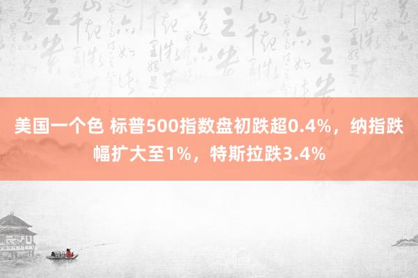 美国一个色 标普500指数盘初跌超0.4%，纳指跌幅扩大至1%，特斯拉跌3.4%