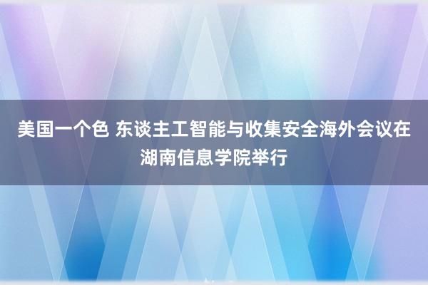 美国一个色 东谈主工智能与收集安全海外会议在湖南信息学院举行